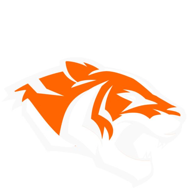 all white just some orange on tiger Thumbnail