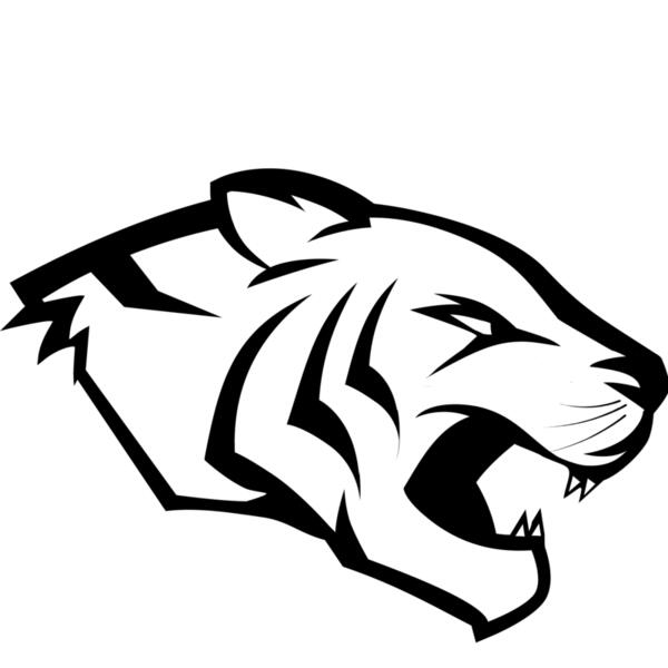 for orange shirts 2 all black   just words tiger Thumbnail