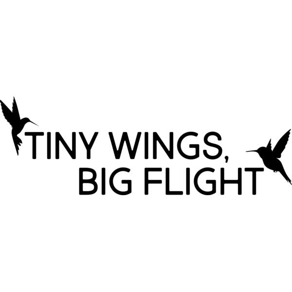 Tiny Wings, Big Flight Thumbnail