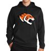 Sport Wick ® Fleece Hooded Pullover Thumbnail